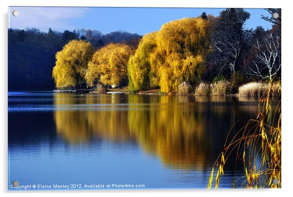 November Pond Acrylic by Elaine Manley
