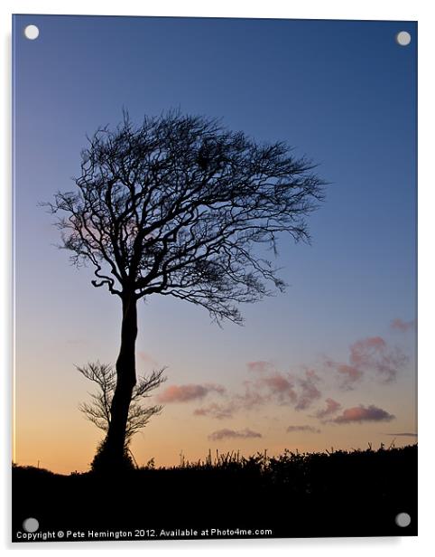 Lone tree at Sunset Acrylic by Pete Hemington