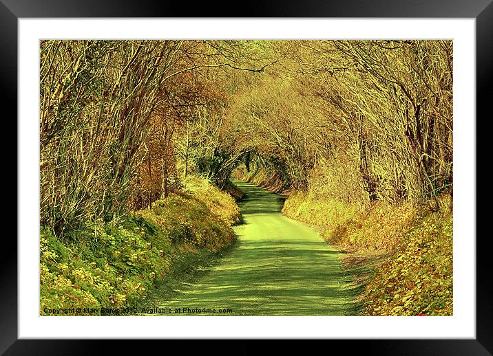 The Lane Framed Mounted Print by Mark  F Banks