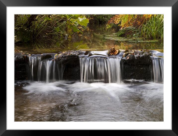 Autumnal Flow Framed Mounted Print by Tracey Whitefoot
