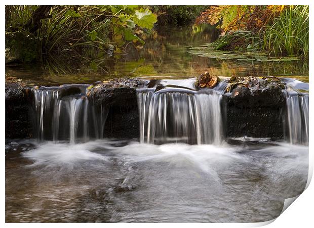 Autumnal Flow Print by Tracey Whitefoot