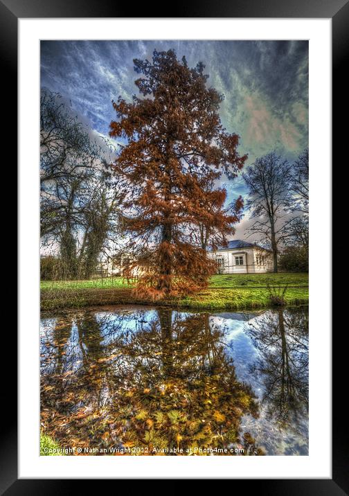 Autumn reflections. Framed Mounted Print by Nathan Wright