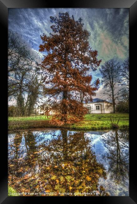 Autumn reflections. Framed Print by Nathan Wright