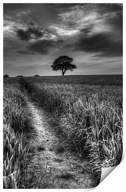 Lone Tree Print by Tracey Whitefoot