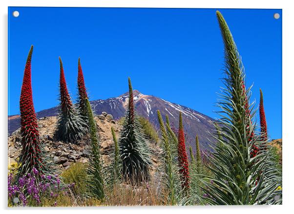 Mt Teide Acrylic by Tracey Whitefoot