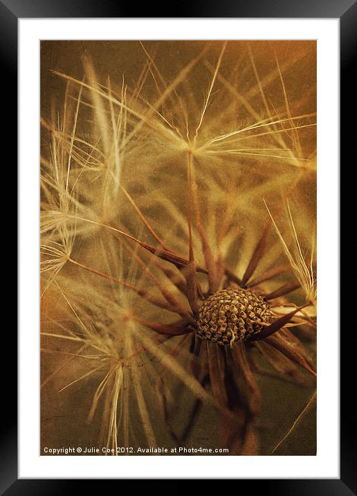Centre of Soft 2 Framed Mounted Print by Julie Coe