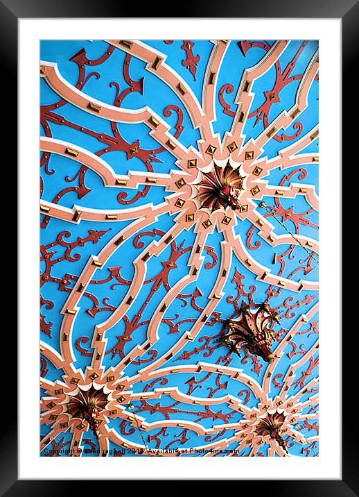 Ceiling Detail Framed Mounted Print by Brian  Raggatt