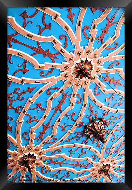 Ceiling Detail Framed Print by Brian  Raggatt
