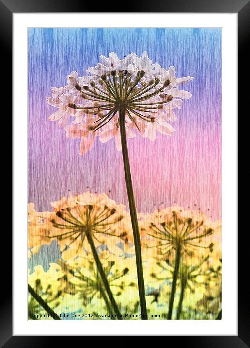 Multi Colour  Parsley Framed Mounted Print by Julie Coe