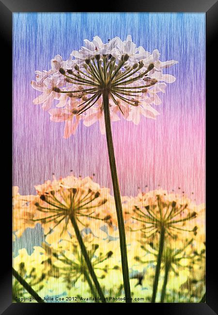 Multi Colour  Parsley Framed Print by Julie Coe