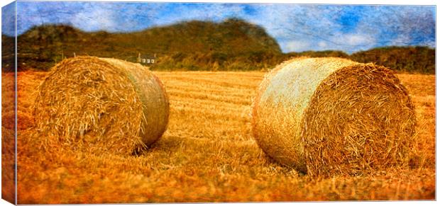 Bails of Hey Canvas Print by Chris Manfield