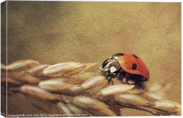 Ladybug Canvas Print by Julie Coe