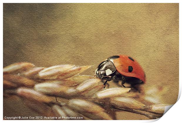 Ladybug Print by Julie Coe