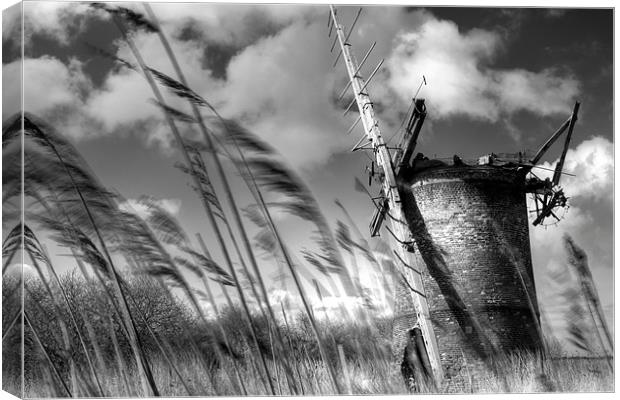 In the Wind Canvas Print by Simon Wrigglesworth