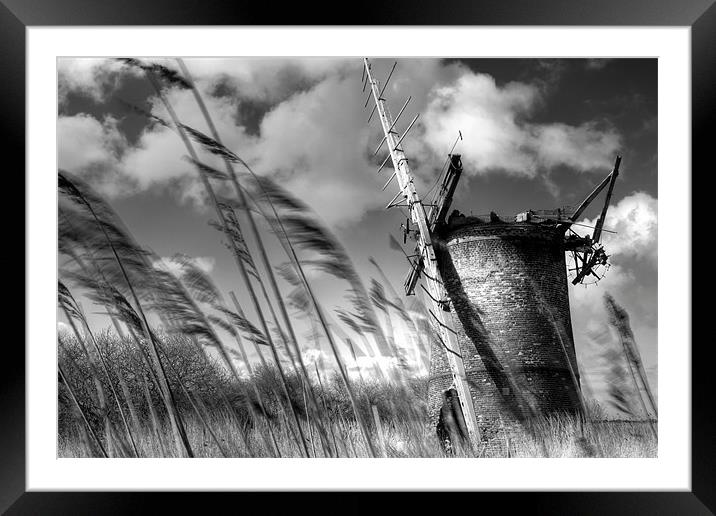 In the Wind Framed Mounted Print by Simon Wrigglesworth