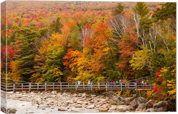 Fall colors at the Highway Canvas Print by Thomas Schaeffer