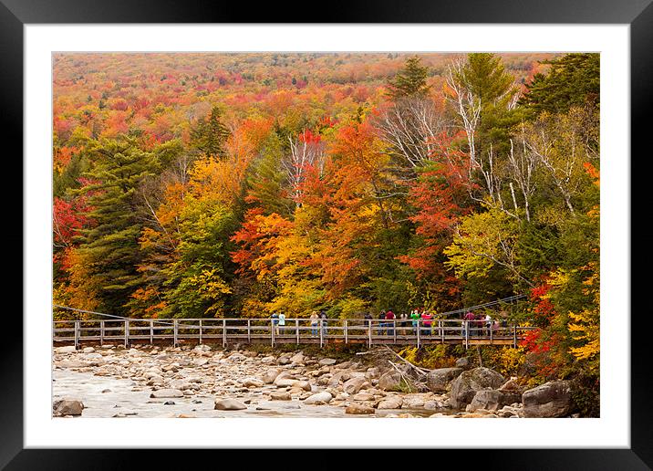 Fall colors at the Highway Framed Mounted Print by Thomas Schaeffer