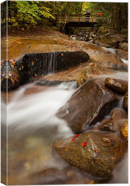 The Flume Canvas Print by Thomas Schaeffer