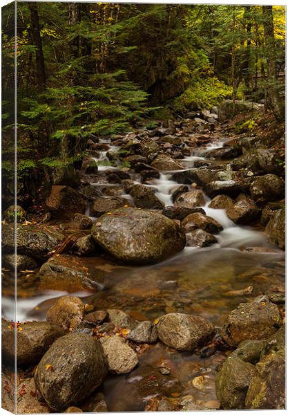 The Flume Canvas Print by Thomas Schaeffer