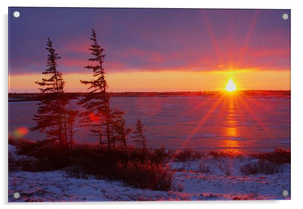 Arctic Sunset II  Acrylic by Thomas Schaeffer