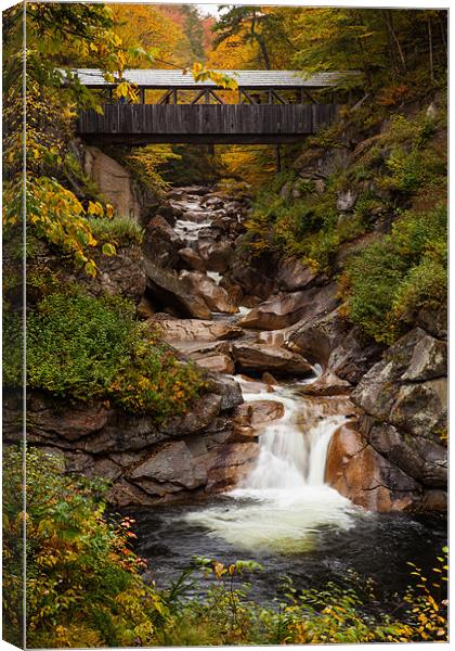 The Flume Canvas Print by Thomas Schaeffer