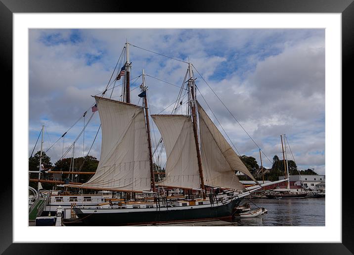 Sailboat in Camden Framed Mounted Print by Thomas Schaeffer