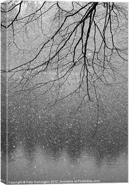 Snow and tree. Canvas Print by Pete Hemington