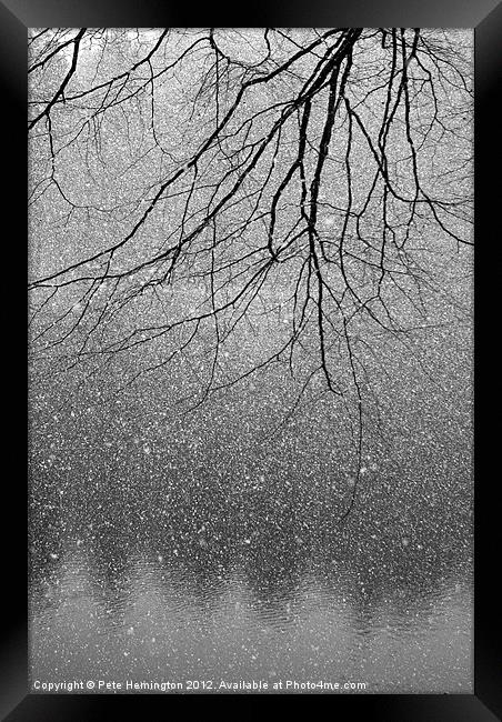 Snow and tree. Framed Print by Pete Hemington