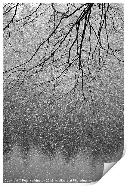 Snow and tree. Print by Pete Hemington