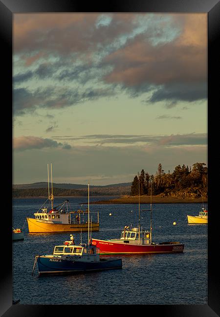 Sunset in Bar Harbor Framed Print by Thomas Schaeffer