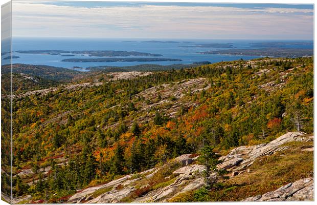View from Cadillac Mountain Canvas Print by Thomas Schaeffer