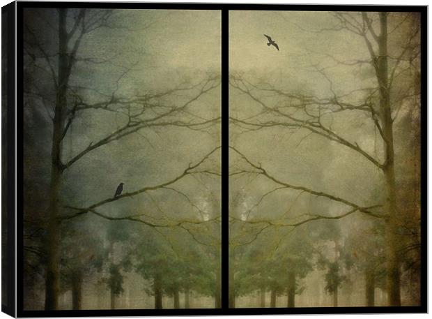 birds and trees in the mist Canvas Print by Heather Newton