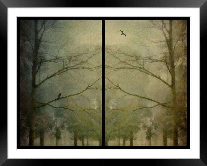 birds and trees in the mist Framed Mounted Print by Heather Newton