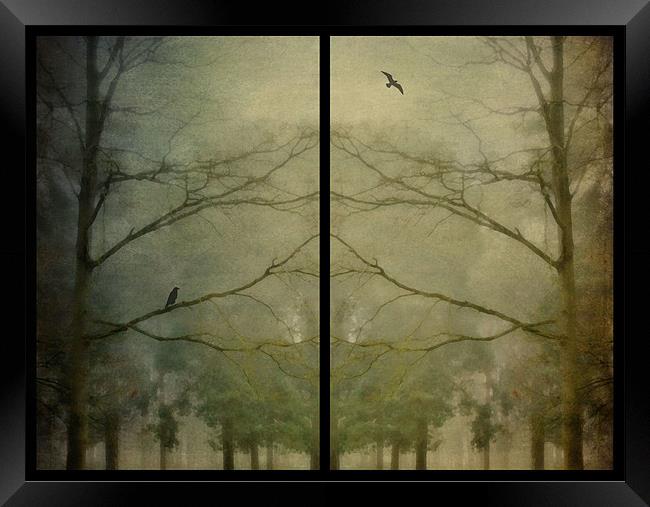 birds and trees in the mist Framed Print by Heather Newton