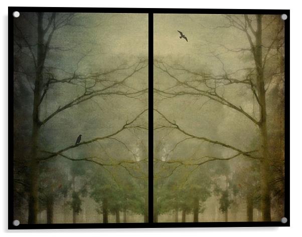 birds and trees in the mist Acrylic by Heather Newton
