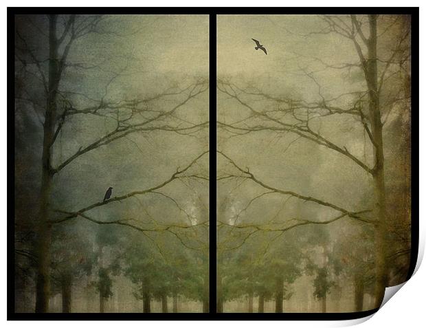 birds and trees in the mist Print by Heather Newton