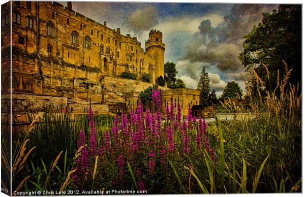 On the Banks of the River Avon Canvas Print by Chris Lord