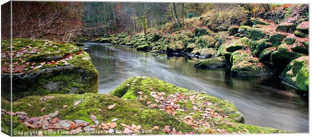 The Silent Strid Canvas Print by Chris Frost