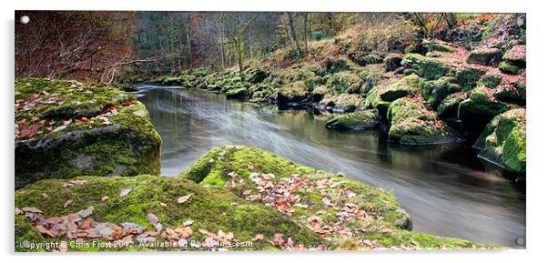 The Silent Strid Acrylic by Chris Frost