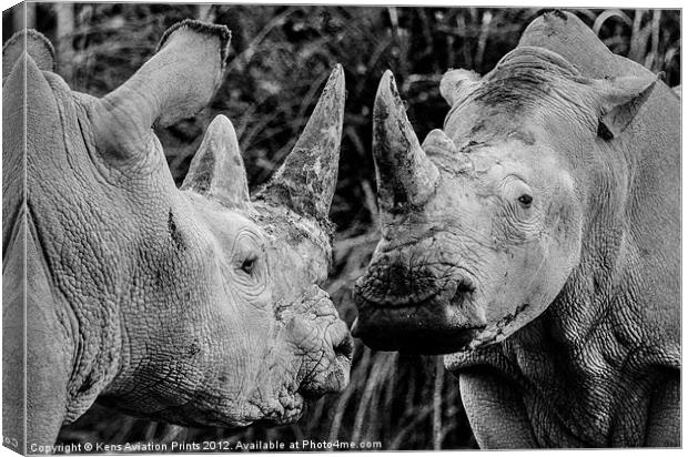 Southern white rhino Canvas Print by Oxon Images