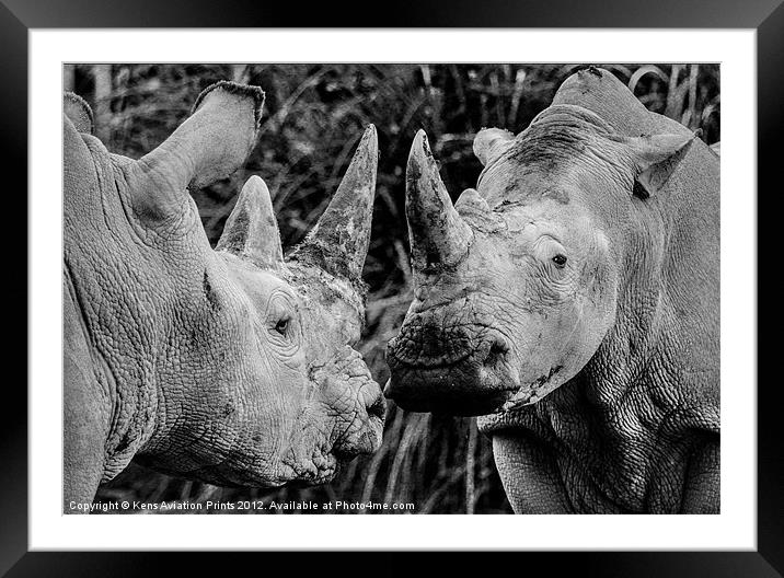 Southern white rhino Framed Mounted Print by Oxon Images