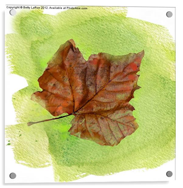 Autumn Leaf Watercolor Acrylic by Betty LaRue
