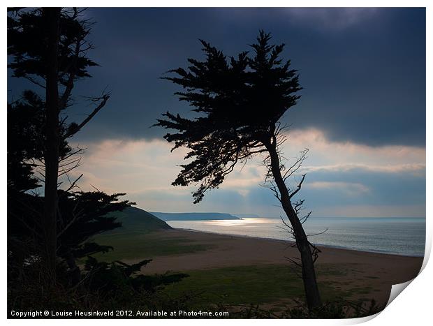 Cedars above Loe Bar, Cornwall Print by Louise Heusinkveld