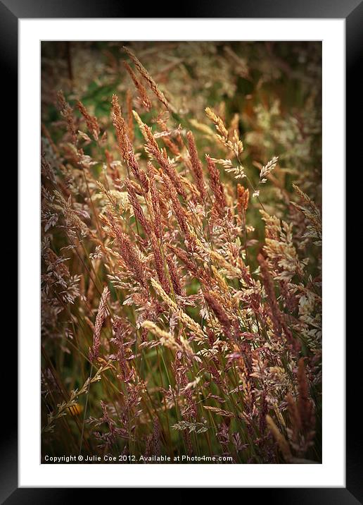 Grass Tones Framed Mounted Print by Julie Coe