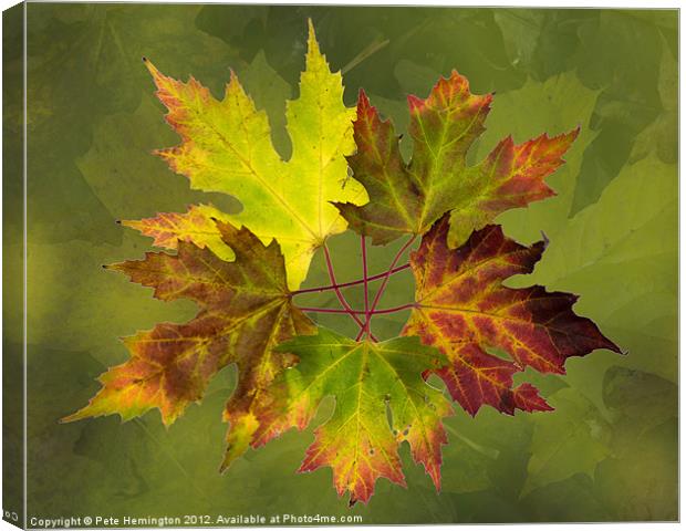 Autumn composition Canvas Print by Pete Hemington