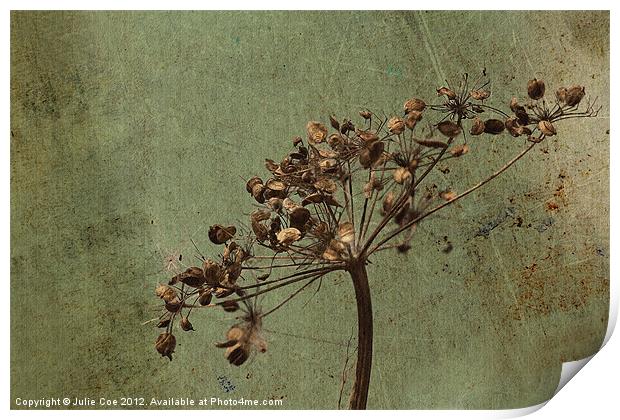 Grunge Seeds Print by Julie Coe