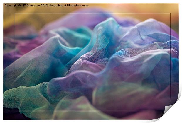 Dyed Silk Print by LIZ Alderdice