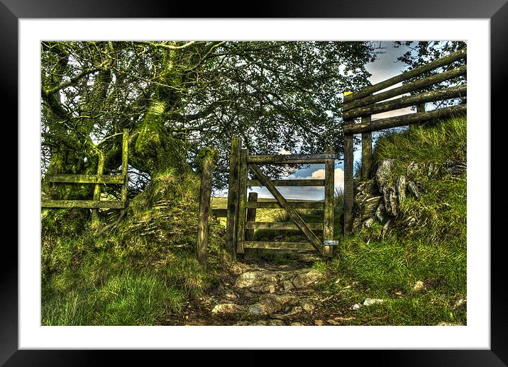 Exmoor Framed Mounted Print by Dave Wilkinson North Devon Ph