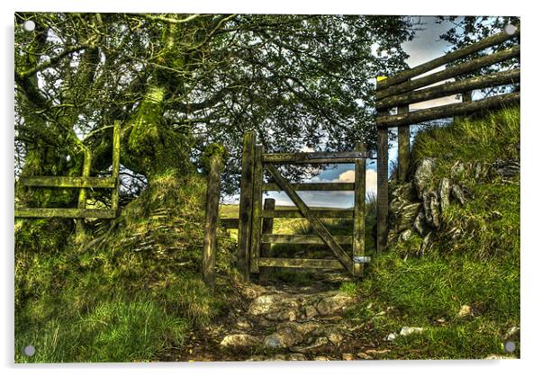 Exmoor Acrylic by Dave Wilkinson North Devon Ph