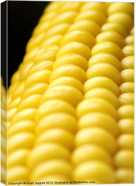 Indiana Corn Canvas Print by Brian  Raggatt